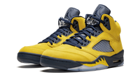 Air Jordan 5 Retro SE Michigan CQ9541 704