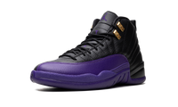 Air Jordan 12 Field Purple CT8013 057