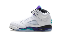 Air Jordan 5 Retro GS Grape HQ7980 100