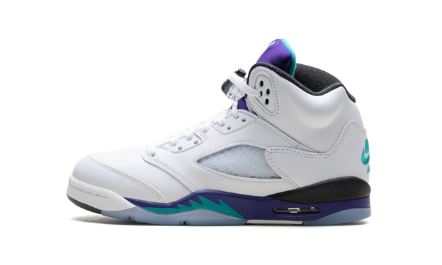 Air Jordan 5 Retro GS Grape HQ7980 100