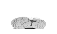 Air Jordan 6 PS Cool Grey DV3605 100
