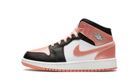 Jordan 1 Mid GS Light Madder Root DM9077 108