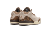 Air Jordan 3 PS Palomino DM0966 102