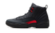 Jordan 12 Retro Bloodline CT8013 003