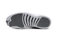 Air Jordan 12 Stealth CT8013 015