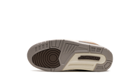 Air Jordan 3 PS Palomino DM0966 102