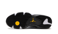 Air Jordan 14 Laney 487471 407