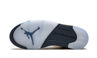 Air Jordan 5 Retro SE Michigan CQ9541 704