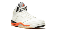 Air Jordan 5 Retro Shattered Backboard DC1060 100