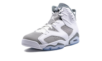 Air Jordan 6 Cool Grey CT8529 100