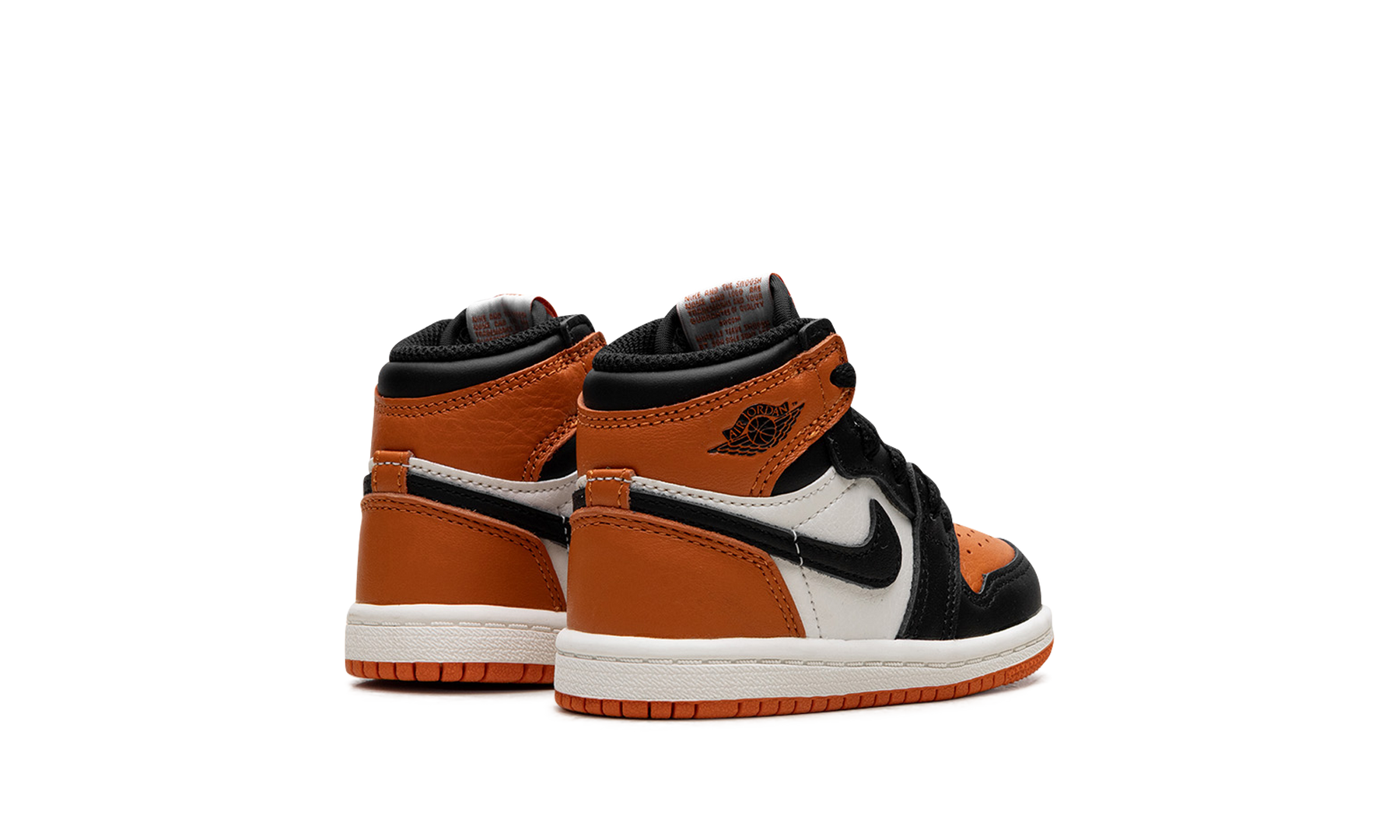 Air Jordan 1 Retro High OG TD Shattered Backboard FD1413 008