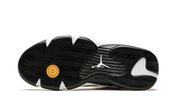 Air Jordan 14 Ginger 487471 701