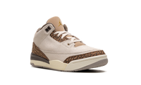 Air Jordan 3 PS Palomino DM0966 102