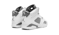 Air Jordan 6 PS Cool Grey DV3605 100