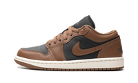 Air Jordan 1 Low WMNS Archaeo Brown DC0774 021
