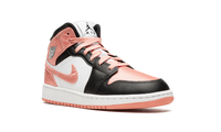 Jordan 1 Mid GS Light Madder Root DM9077 108
