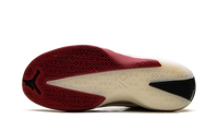 Air Jordan 40 Black Toe IQ4087 100